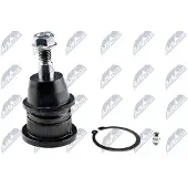 NTY Fuseekogel ZSG-CH-011