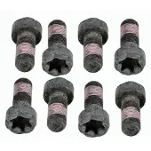 SACHS Schroevenset vliegwiel 1874 000 050