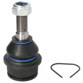 REINHOCH Fuseekogel RH03-0035