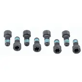 SACHS Schroevenset vliegwiel 1874 000 032