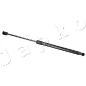 Japko ZSJ09187 Gasveer achterklep
