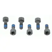 SACHS 1874 000 041 Schroevenset, vliegwiel