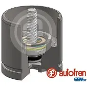 AUTOFREN SEINSA D025520RK Zuiger, remklauw
