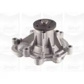 Graf Waterpomp PA1107 Graf voor o.a. MERCEDES-BENZ