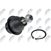 NTY ZSD-FR-006 Fuseekogel