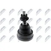 NTY Fuseekogel ZST-CH-004A