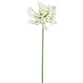 Easyplants | Kunstbloem Agapanthus 77 cm wit | Zijde | Nepbloemen | wit | Onderhoudsvrij | Kant-en-klaar
