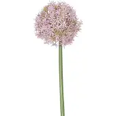 Easyplants | Kunstbloem Allium Groot 80 cm paars | Zijde | Nepbloemen | paars | Onderhoudsvrij | Kant-en-klaar
