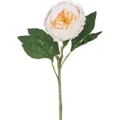 Easyplants | Kunstpioen Real Touch Crème Wit 58cm | Zijde | Nepbloemen | wit | Onderhoudsvrij | Kant-en-klaar
