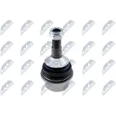 NTY Fuseekogel ZST-CH-009