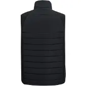 Regatta Heren Gilet met volledige rits (Zwart/Ash)