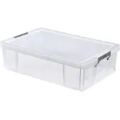 Whitefurze Allstore Opbergbox met Clip 37 liter