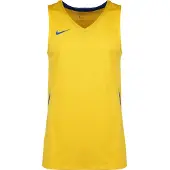 Nike Functioneel shirt 'Team Stock 20' royal blue/koningsblauw / geel