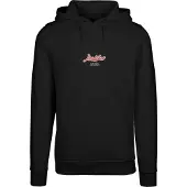 Mister tee Sweatshirt 'Eagle Paradise' cyaan blauw / rood / zwart / wit