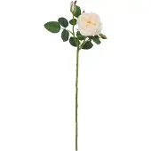 Maxifleur Kunstplanten Kunst Rozentak Austin 52cm Creme