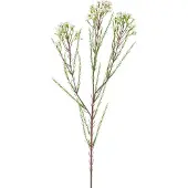 Easyplants | Kunsttak Waxflower 78 cm creme | Zijde | Nepbloemen | creme | Onderhoudsvrij | Kant-en-klaar