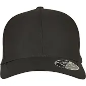Flexfit Pet zwart