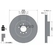 PAGID 55832NC Remschijf