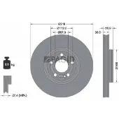 PAGID 56167NHC Remschijf