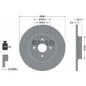 PAGID 56200NC Remschijf