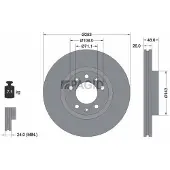 PAGID 55325NC Remschijf