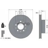 PAGID 55861NC Remschijf