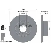PAGID 54761NHC Remschijf