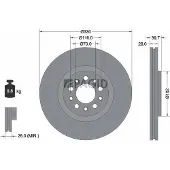 PAGID 55209NC Remschijf