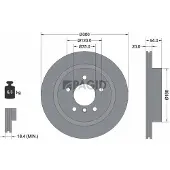 PAGID 54966NHC Remschijf