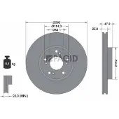 PAGID 54950N Remschijf