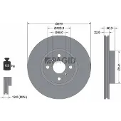 PAGID 54562N Remschijf
