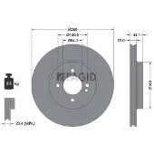 PAGID 54579NC Remschijf