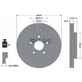 PAGID 54845NC Remschijf