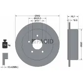 PAGID 55277N Remschijf