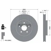 PAGID 55722NHC Remschijf