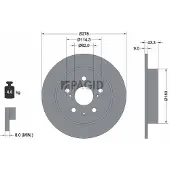 PAGID 55253NC Remschijf