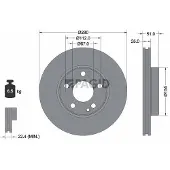 PAGID 55570NHC Remschijf