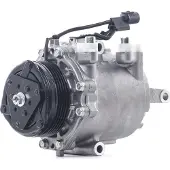 RIDEX 447K0421 Aircopomp
