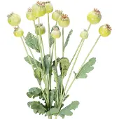 Viana Kunstmatig boeket klaprozen, realistische bloemen voor woonaccessoires