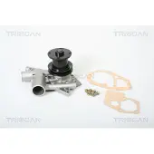 TRISCAN 8600 25080 Waterpomp