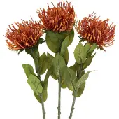 Viana Speldenkussen Exotische Kunstbloem Oranje Leucospermum Protea 73cm 3st