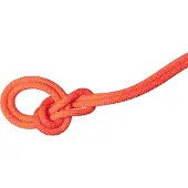 Mammut - 9.8 Crag Dry Rope - Enkeltouw 70 m, rood