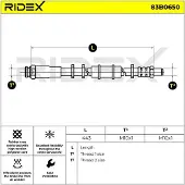 RIDEX 83B0650 Remslang