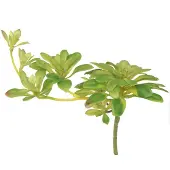 Viana Succulente kunstplant met steker Aeonium Groen 30cm 4 st., 4 Stück