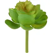 Viana Echeveria Kunstmatige Vetplanten Groen Ø7cm 6 stuks, 6 Stück