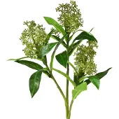 Viana Kunstmatige groene Skimmia japonica bloemen, 45 cm, 2 stuks, 2 Stück