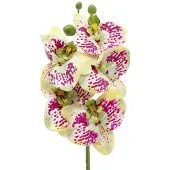 Viana Orchidee kunsttak Phaelaenopsis Groen Roze H49cm
