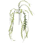 Viana Kunstzaagblad Cactus Epiphyllum anguliger L68cm 3 st, 3 Stück