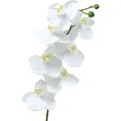 Viana Kunst orchidee kunstbloem wit Ø6,5-8cm 77cm