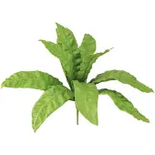 Viana Nestvaren kunstplanten in groen 5,5×22cm 2st, 2 Stück